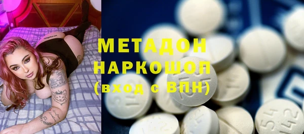 индика Медвежьегорск
