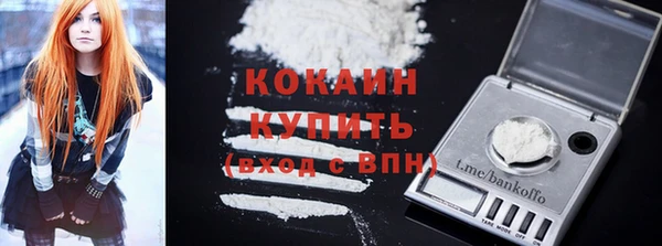 индика Медвежьегорск
