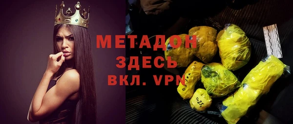 индика Медвежьегорск