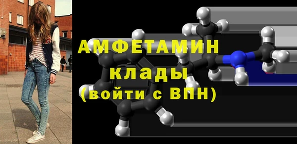 индика Медвежьегорск