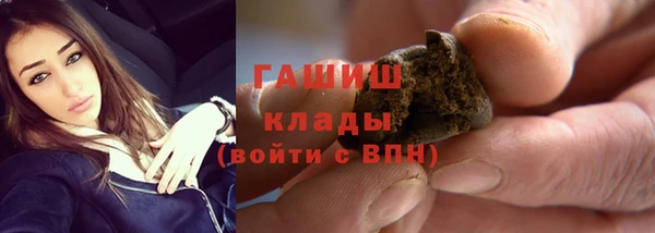 индика Медвежьегорск
