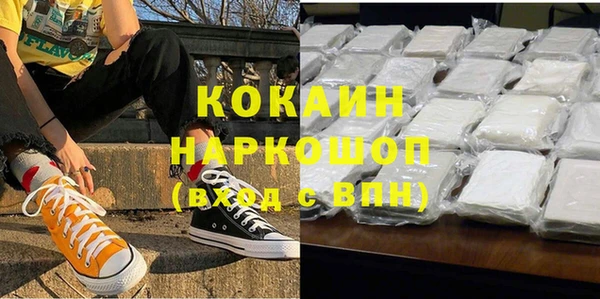 крисы Мегион