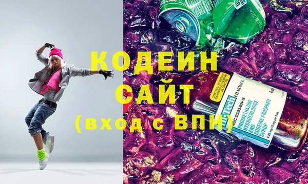 индика Медвежьегорск