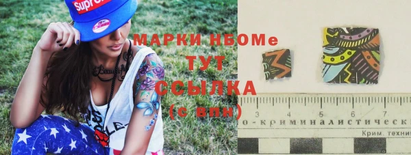 индика Медвежьегорск