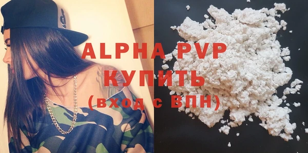 индика Медвежьегорск